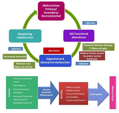 Nutritional Support in Malnourished Children With Compromised Gastrointestinal Function: Utility of Peptide-Based Enteral Therapy
